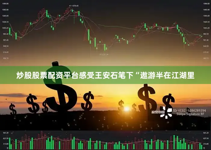 炒股股票配资平台感受王安石笔下“遨游半在江湖里