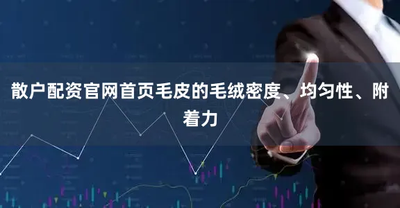散户配资官网首页毛皮的毛绒密度、均匀性、附着力